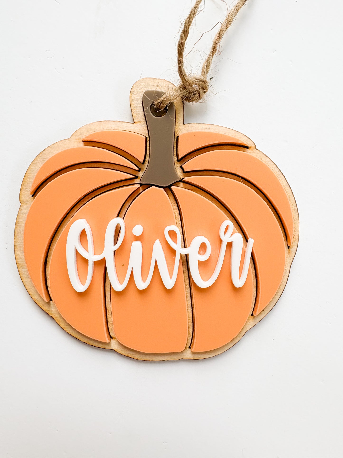Pumpkin Bag Tags
