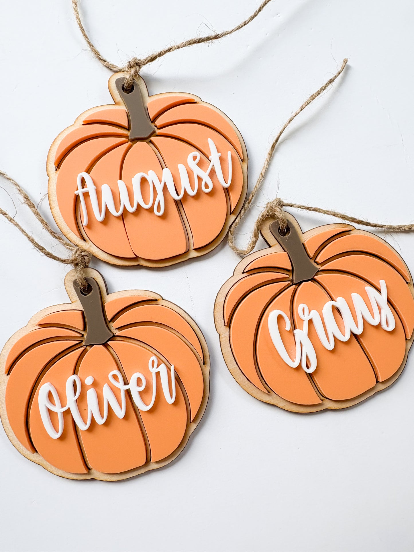 Pumpkin Bag Tags