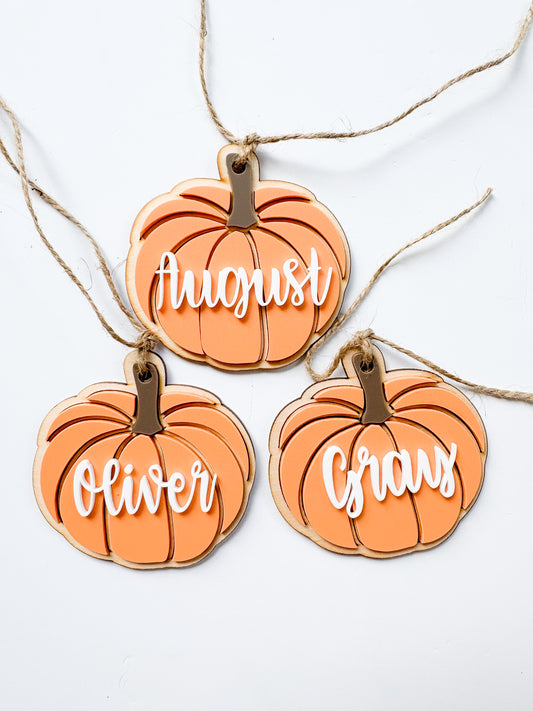 Pumpkin Bag Tags